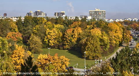 15.10.2025 - goldener Oktober mit Blick auf das Marx-Zentrum und Wohnanlage am Karl-Marx-Ring 52-62
